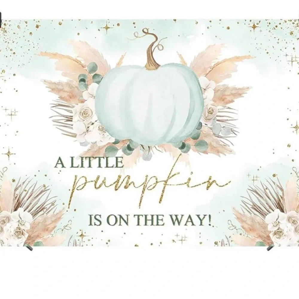 Boho A Little Pumpkin is On The Way backdrop,5x 7,Photography Background Baby